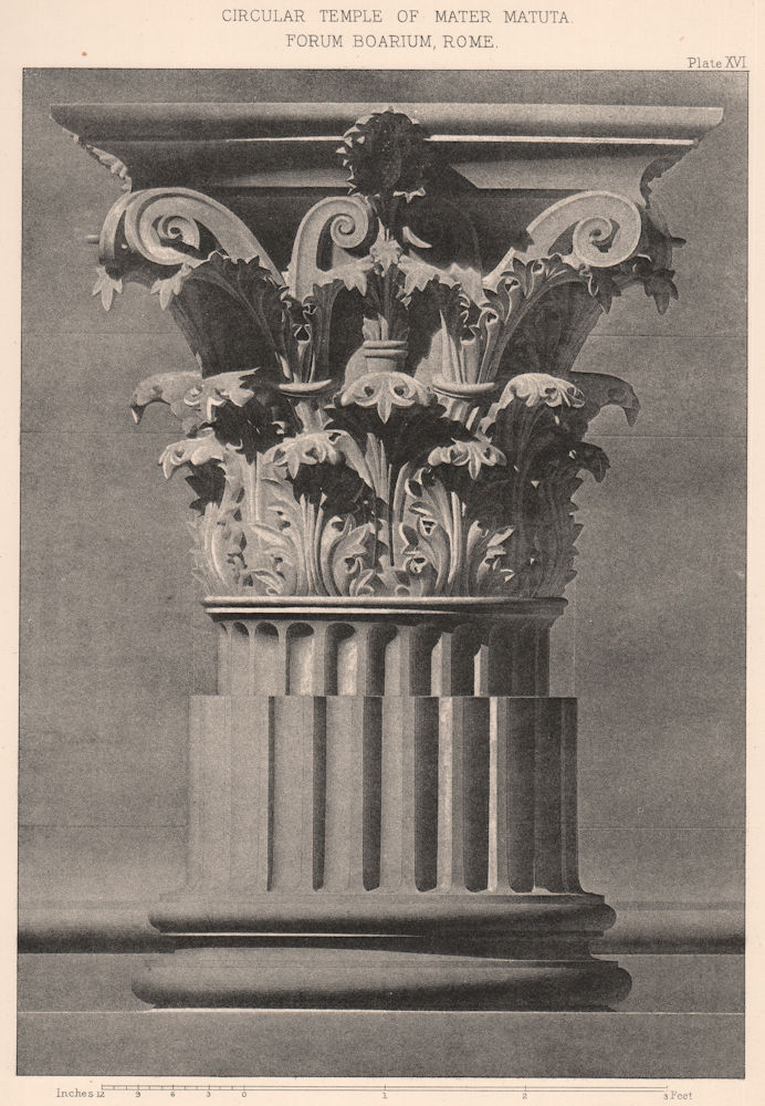 Associate Product CLASSICAL ARCHITECTURE. Circular temple of Mater Matuta Forum Boarium, Rome 1902