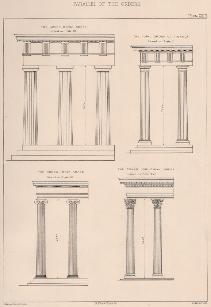 CLASSICAL ARCHITECTURE. Parallel of the Orders 1902 old antique print picture
