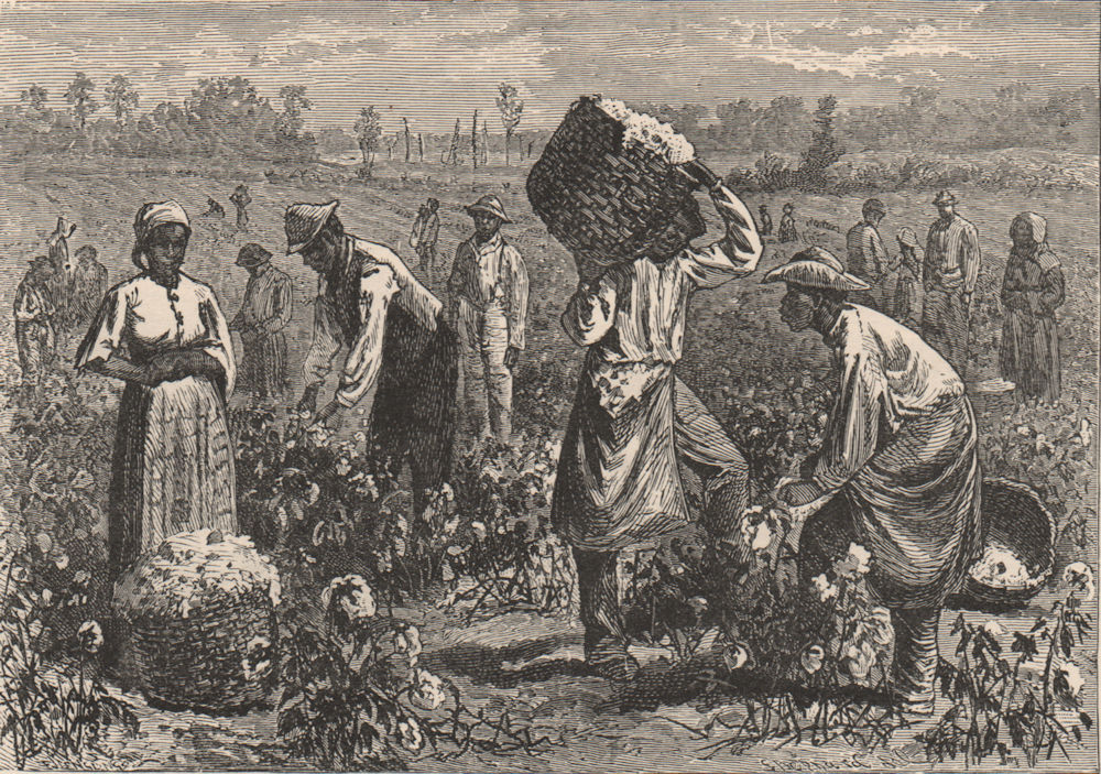 Associate Product SOUTHERN USA. Scene on a Cotton Plantation 1882 old antique print picture