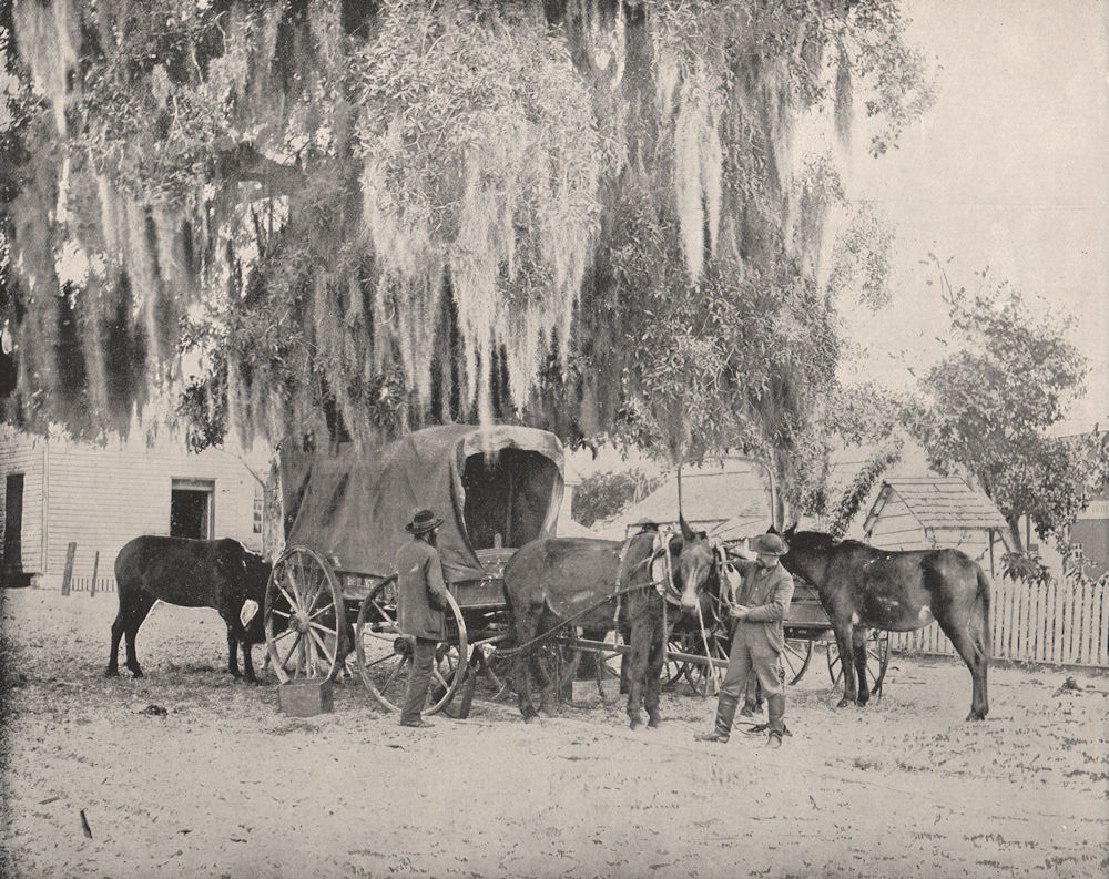 A merchant, San Antonio, Texas, with horses and wagon 1895 old antique print