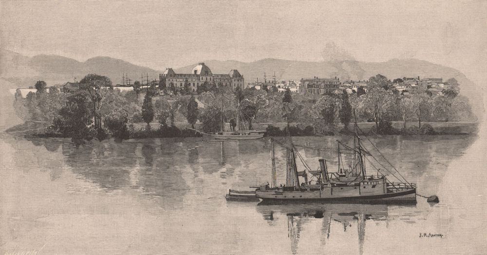 Botanical Gardens, from River Terrace. BRISBANE. Australia 1888 old print