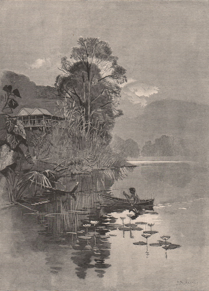 Associate Product The Barron River, near CAIRNS. Queensland. Australia 1888 old antique print
