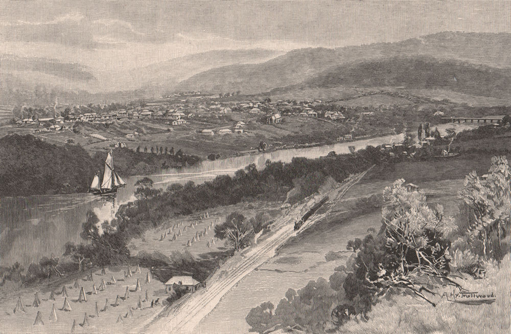 NEW NORFOLK. Tasmania. Australia 1888 old antique vintage print picture