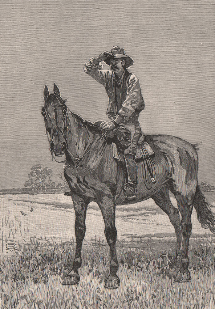Boundary Rider. Australia 1888 old antique vintage print picture