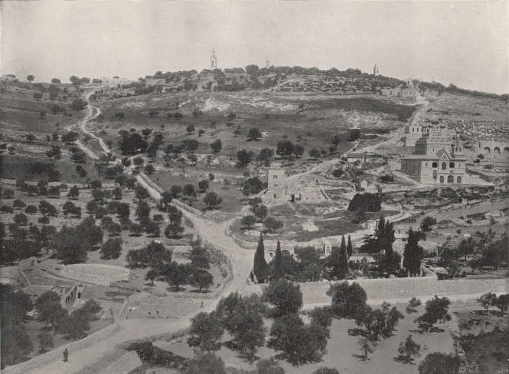 Associate Product JERUSALEM. The Mount of Olives. Israel 1895 old antique vintage print picture
