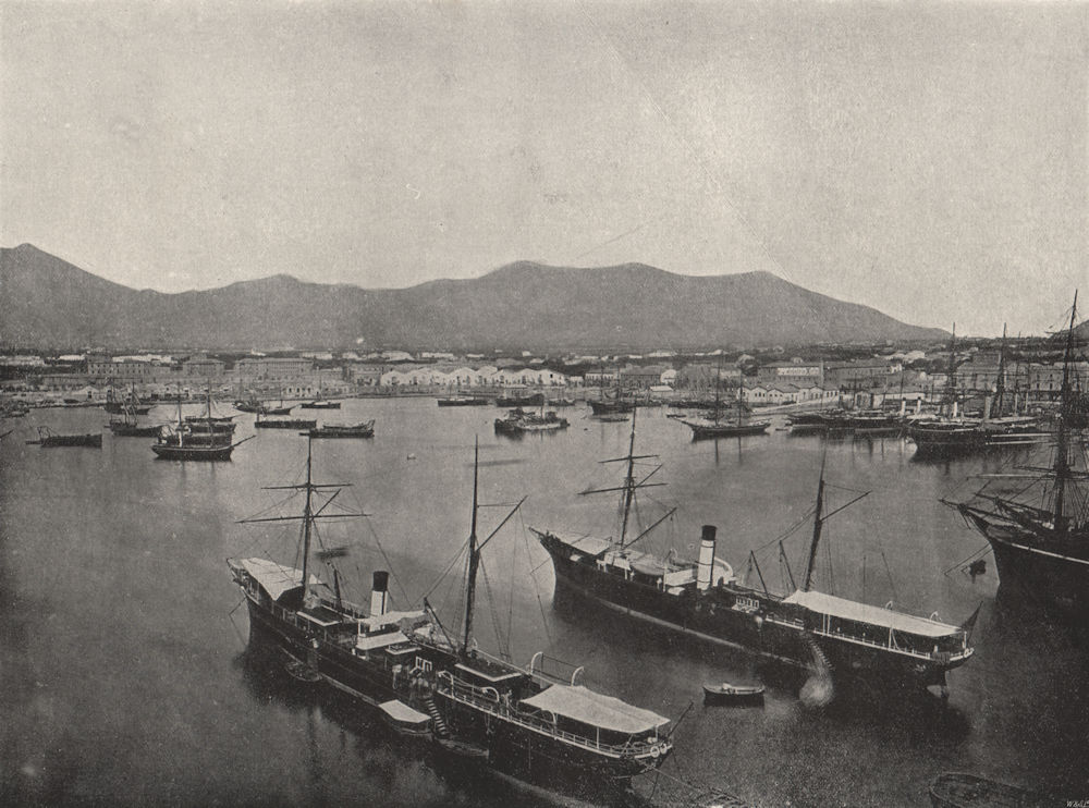 Associate Product PALERMO. General view of the Port. Italy 1895 old antique print picture