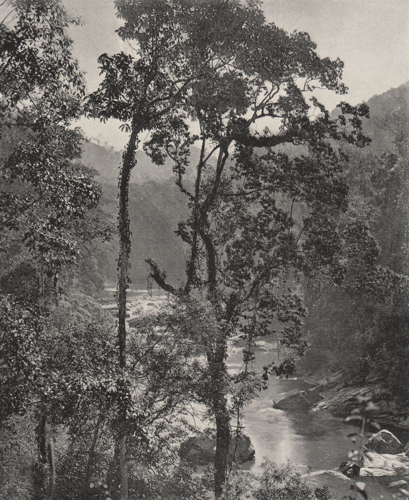 Associate Product KURUNEGALA. View on the Kelani river. Sri Lanka 1895 old antique print picture