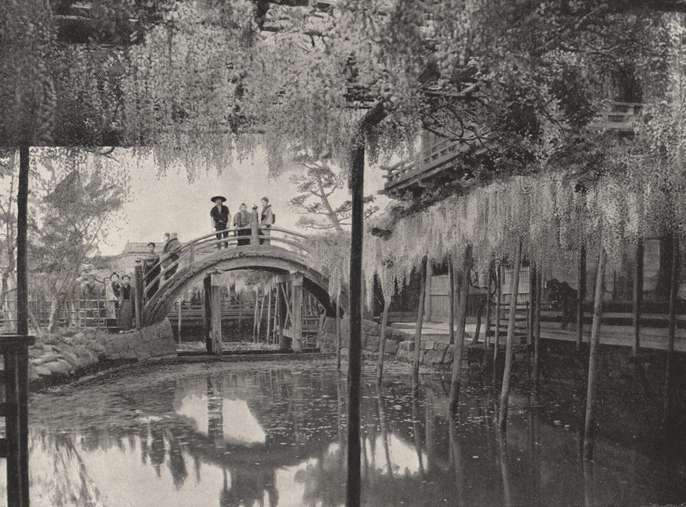 Associate Product TOKYO. The Shinji-No-Ike Pond, and wistaria, Kameido. Japan 1895 old print