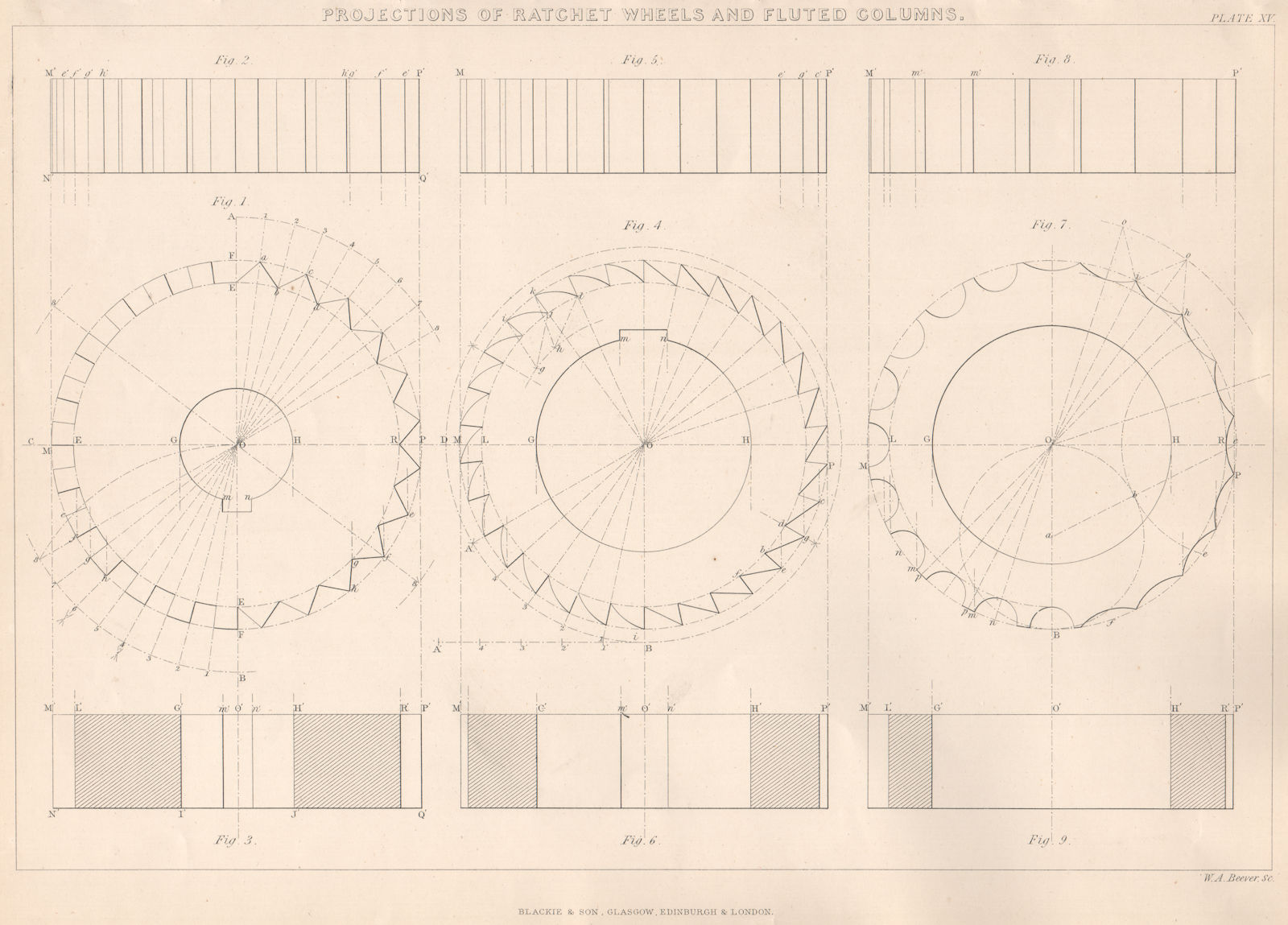 VICTORIAN ENGINEERING DRAWING. Ratchet wheels & fluted columns projections 1876