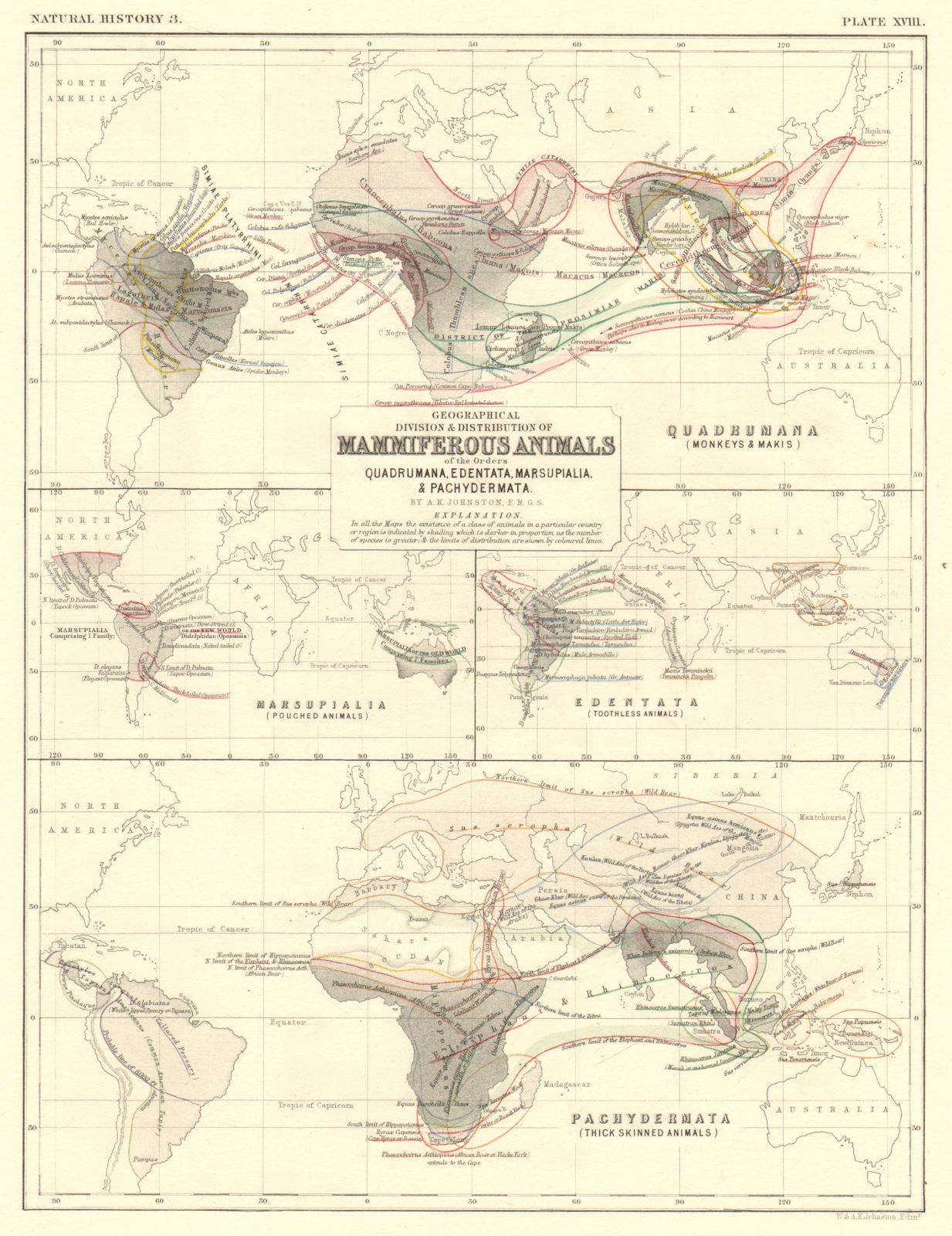 Associate Product WORLD. Mammal distribution. Monkeys Edentata Marsupials Pachydermata 1850 map