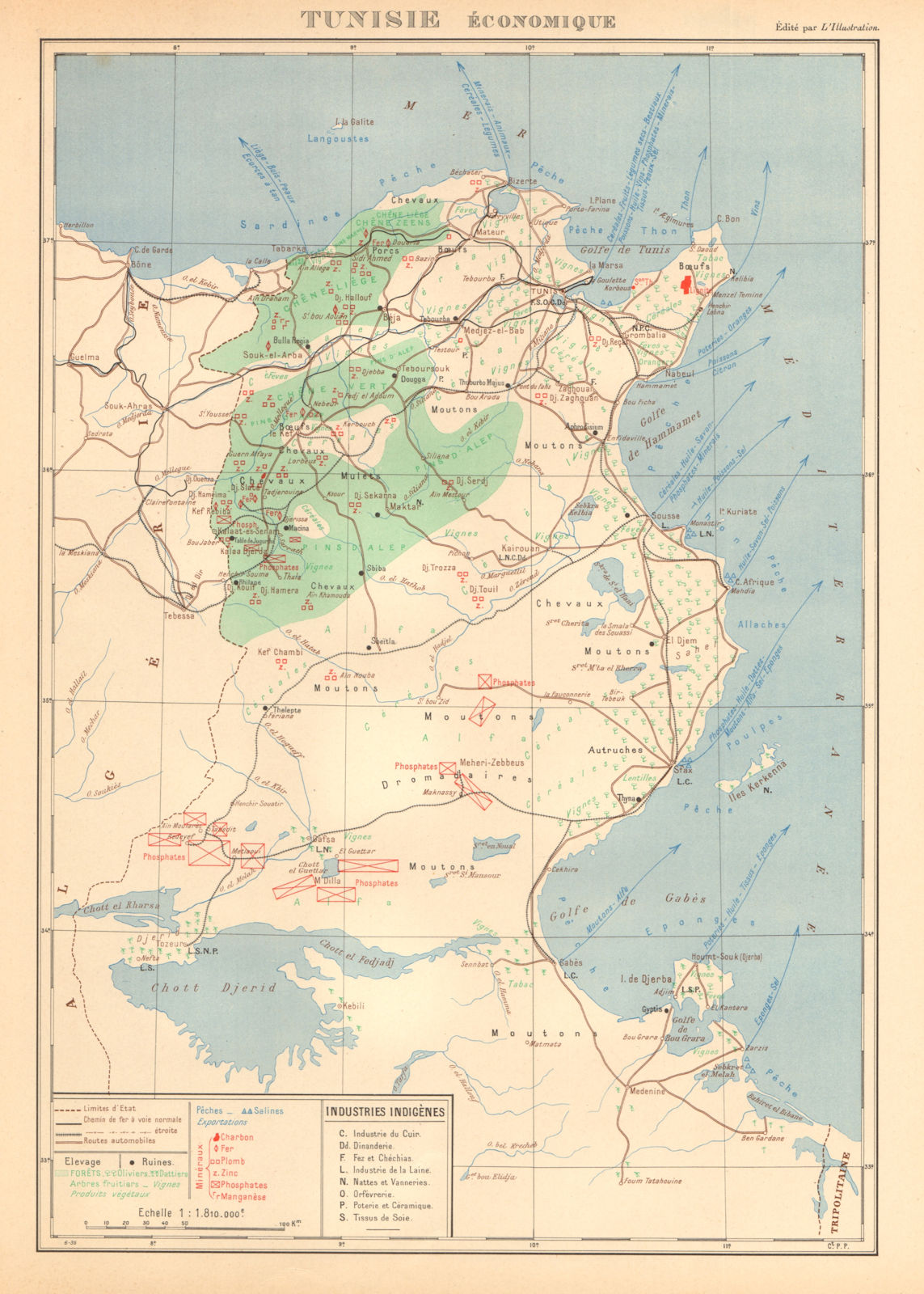 FRENCH COLONIAL TUNISIA RESOURCES. Tunisie. Economique Economic 1938 old map