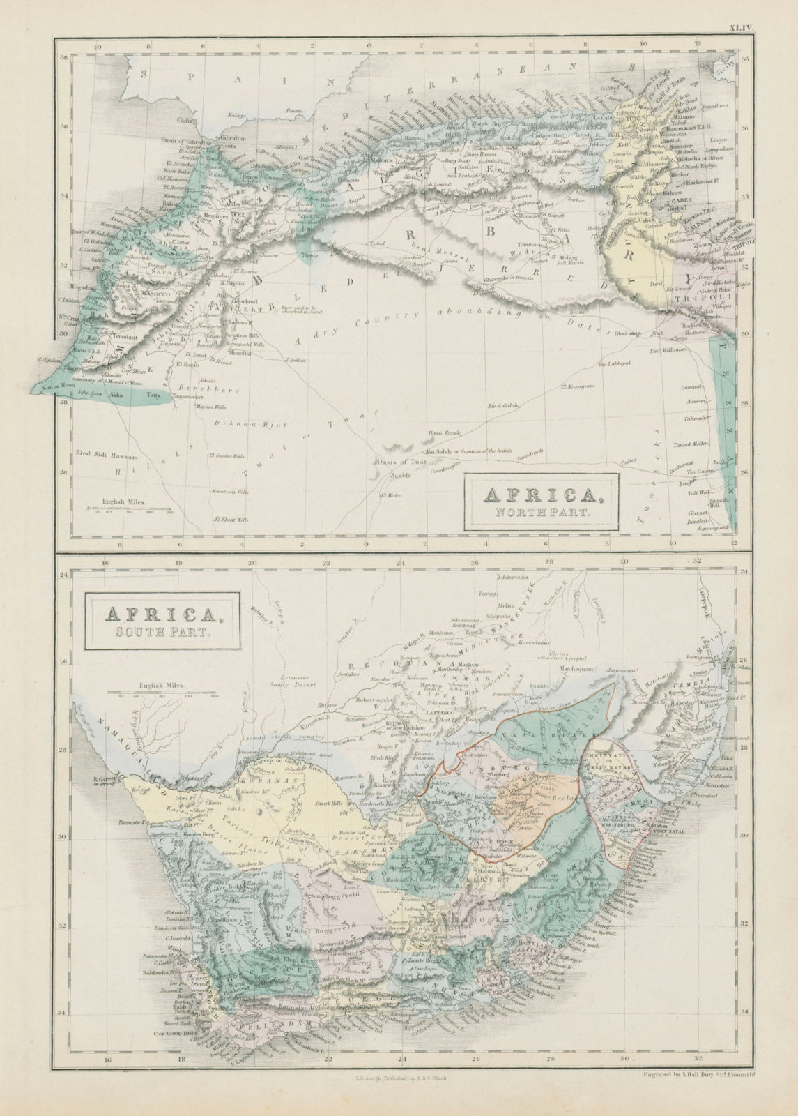Northern & Southern Africa. Maghreb. Orange River Sovereignty. HALL 1856 map
