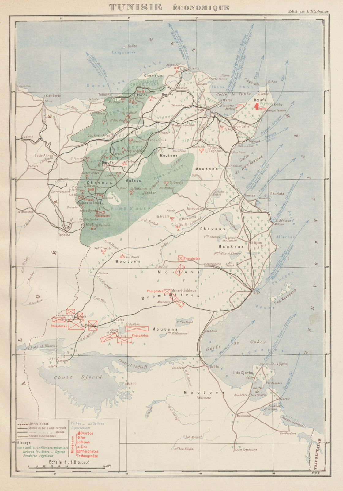 FRENCH COLONIAL TUNISIA RESOURCES. Tunisie. Economique Economic 1929 old map