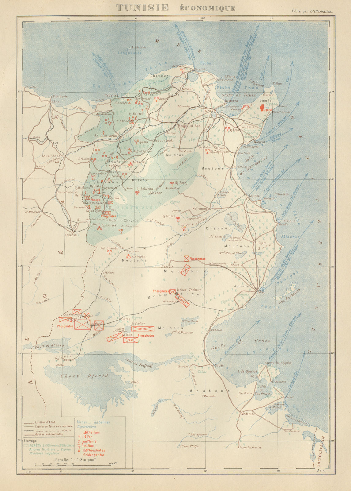 Associate Product FRENCH COLONIAL TUNISIA RESOURCES. Tunisie. Economique Economic 1931 old map