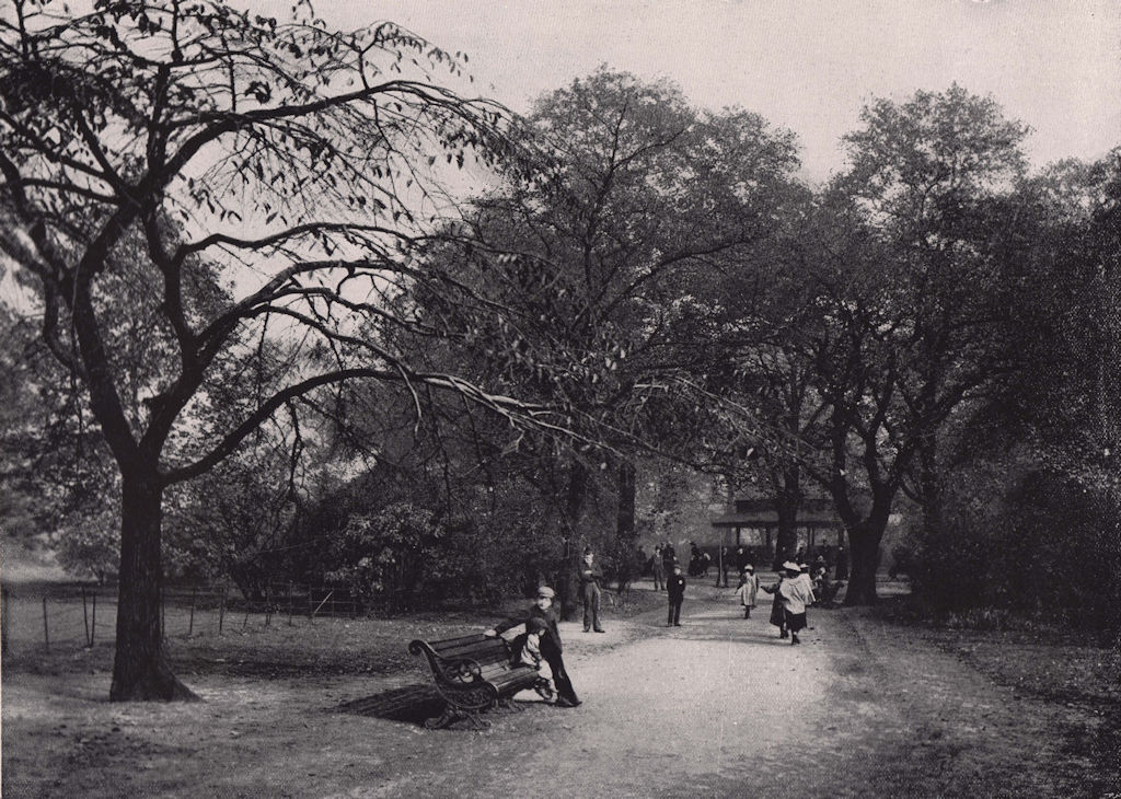 Lincoln's Inn Fields - view in the Gardens. London 1896 old antique print