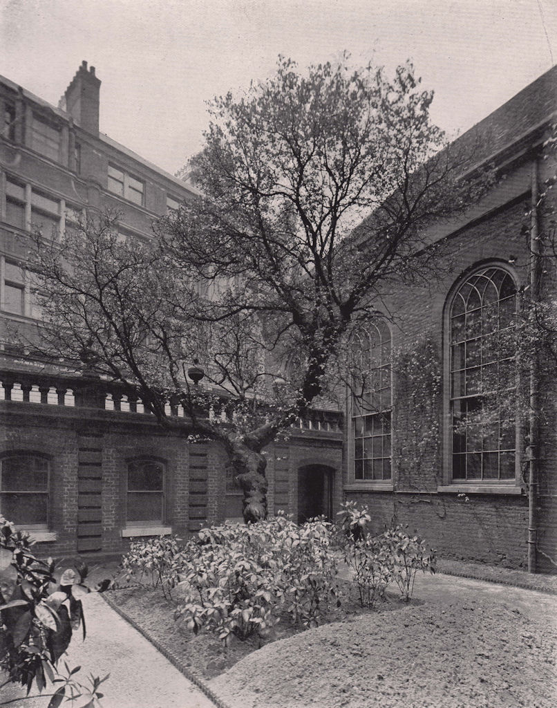 Girdlers' Hall, and the Mulberry tree that Escaped the Great Fire. London 1896