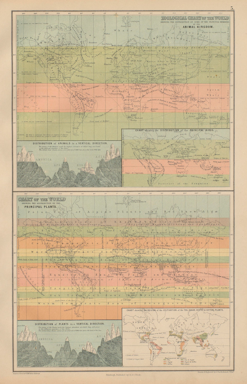 Associate Product Zoological & Botanical Charts of the World. Plants animals. BARTHOLOMEW 1870 map