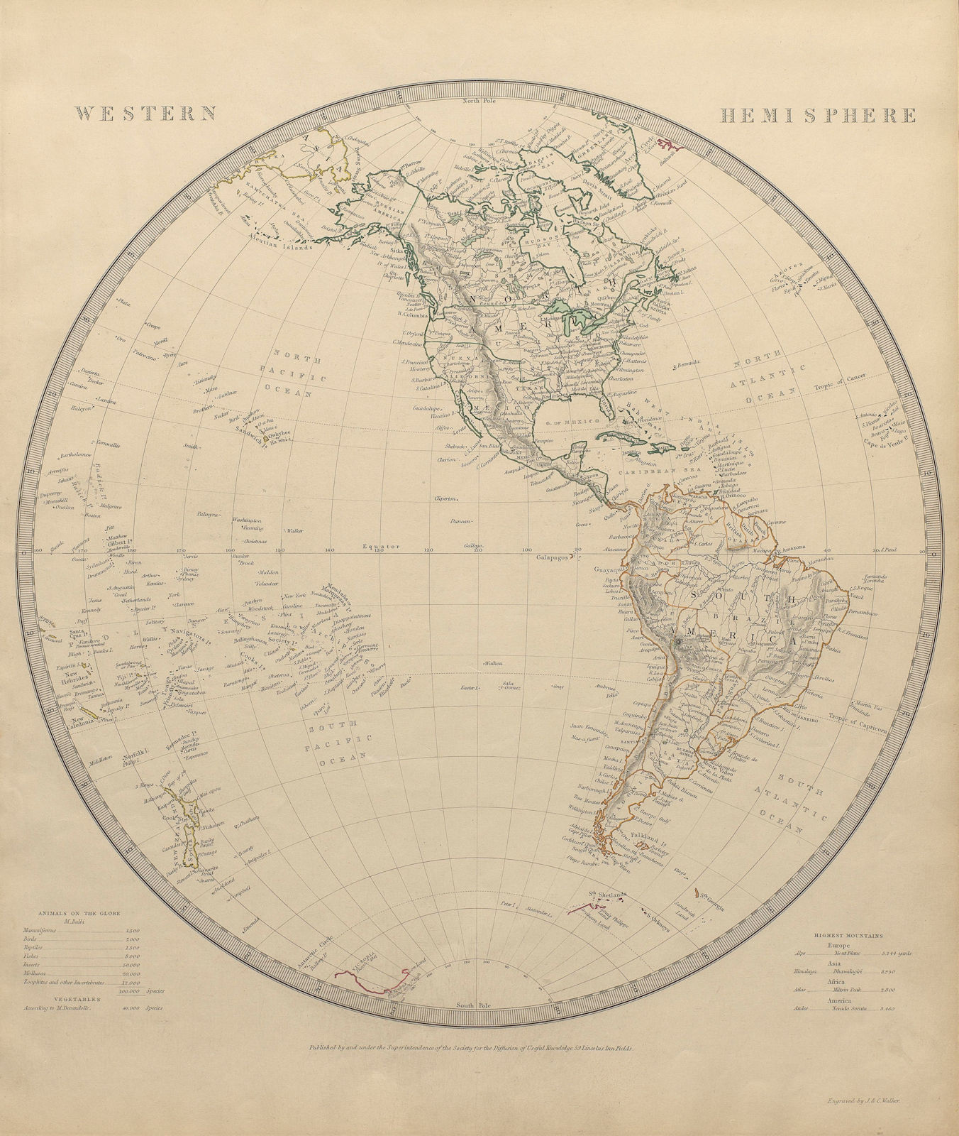 Associate Product WESTERN HEMISPHERE Americas Mexican Texas New Zealand Pacific SDUK 1844 map