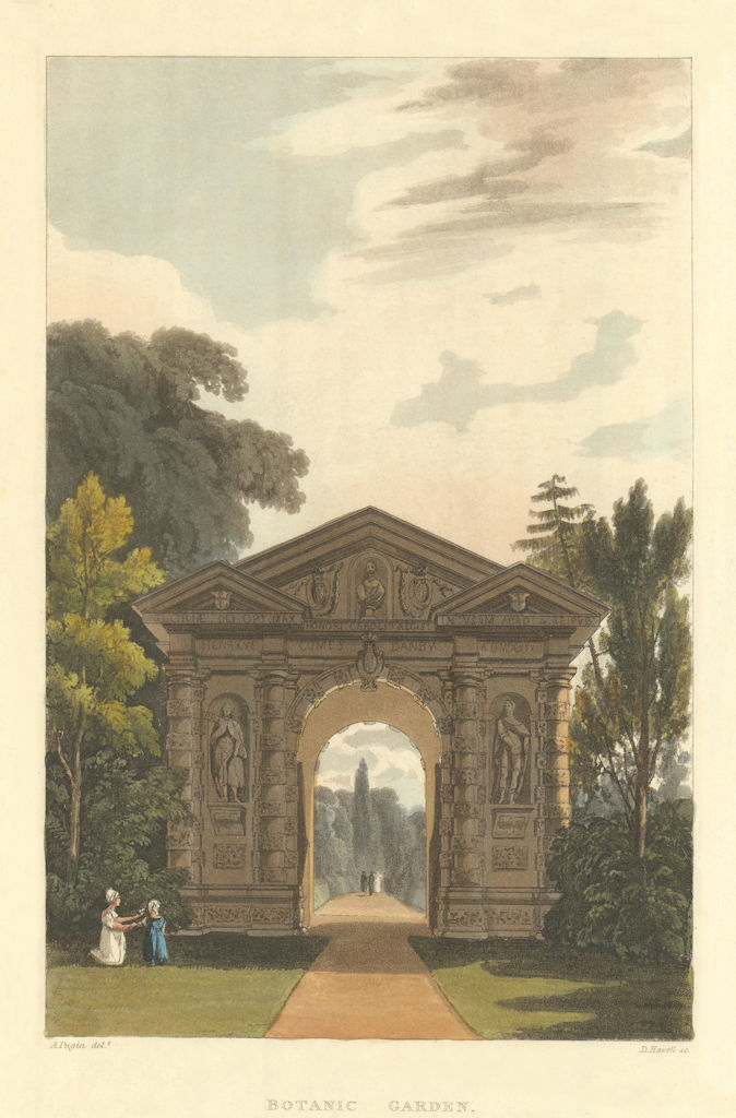 Botanic Garden. Ackermann's Oxford University 1814 old antique print picture