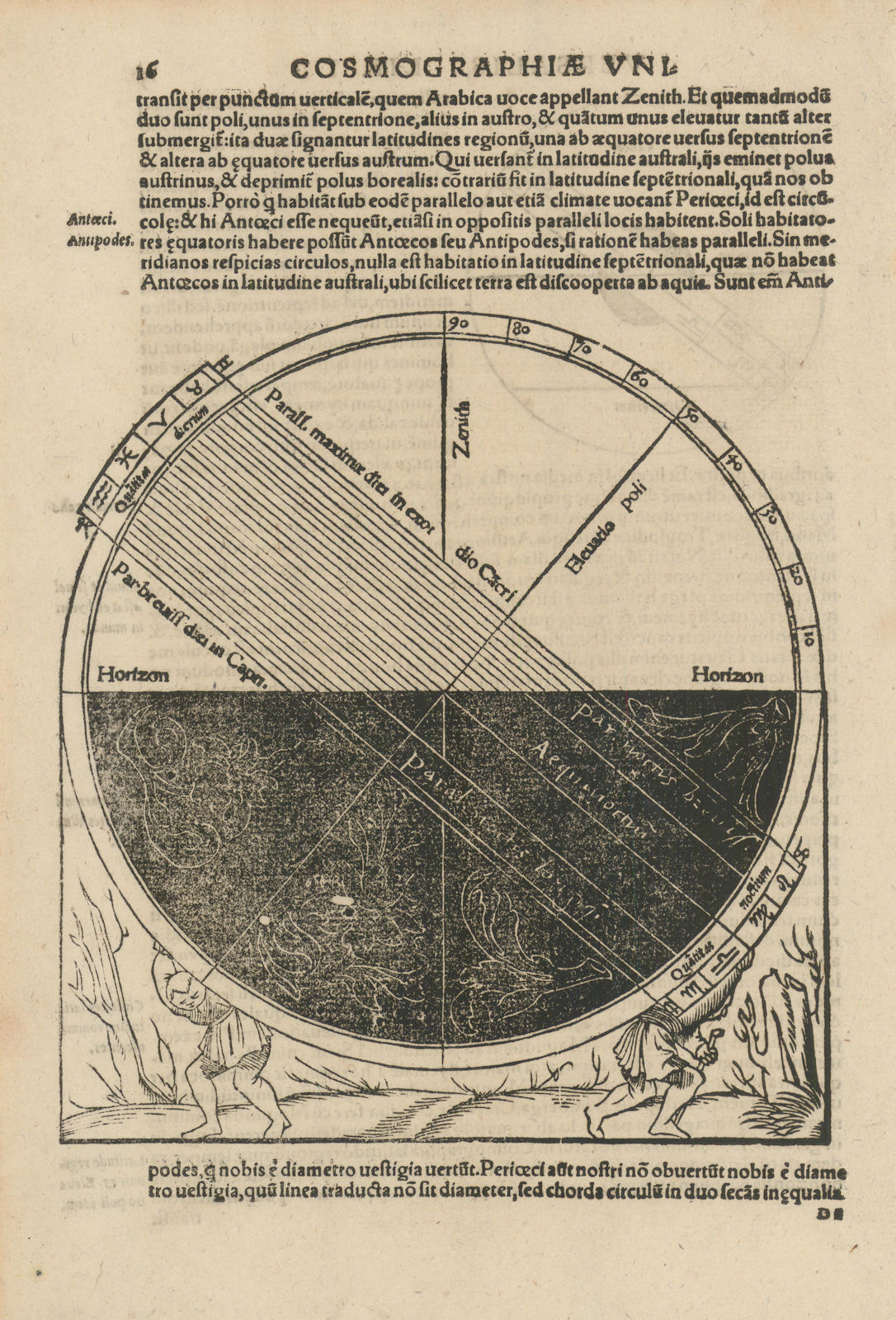 De circulis parallelis. Astronomy/Astrology. SEBASTIAN MÜNSTER 1572 old print