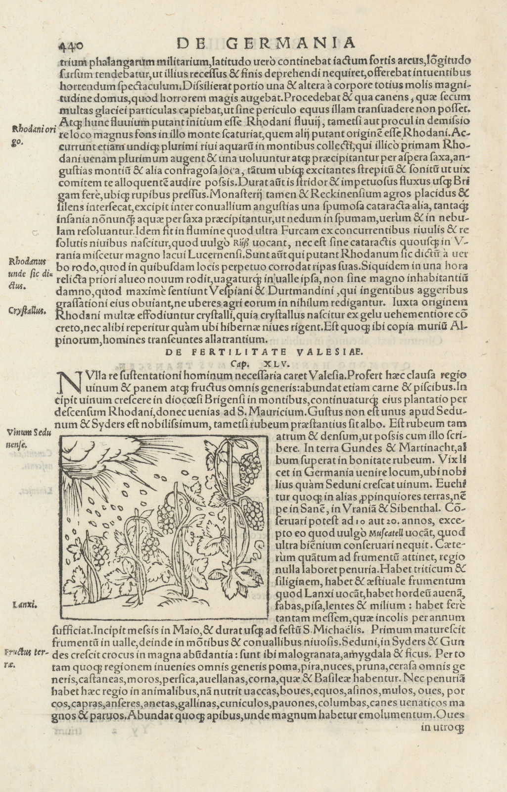 Fertilitate Valesiae. Vinum Sedunense. Fertile Valais. Sion wine. MÜNSTER 1572