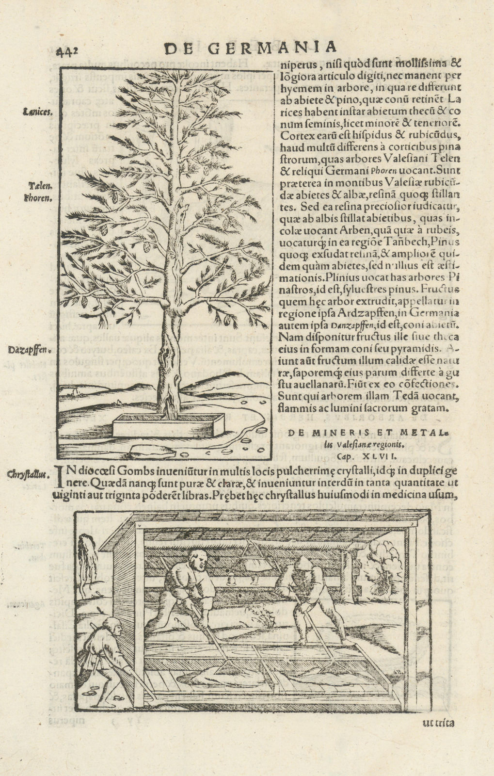 Valesiane regionis. Working rock crystals in Valais, Switzerland. MÜNSTER 1572