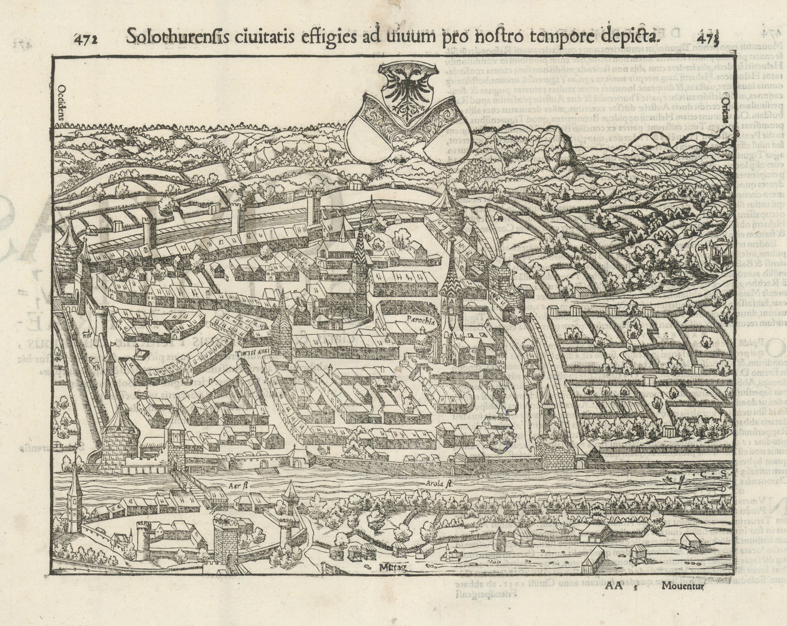 Associate Product Solothurensis civitatis… The city of Solothurn, Switzerland. MÜNSTER 1572 map