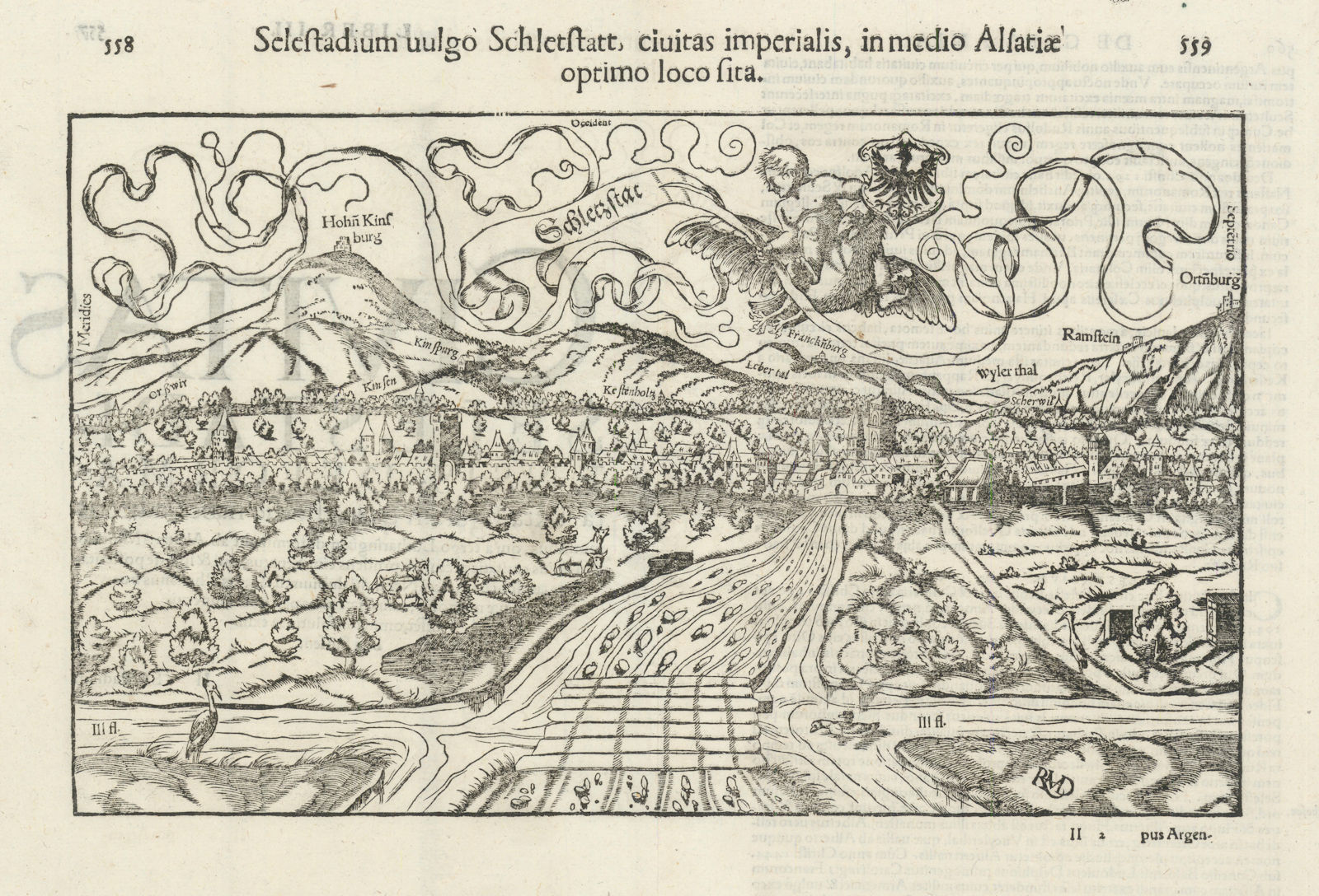 Selestadium vulgo Schletstat… Sélestat, Bas-Rhin. SEBASTIAN MÜNSTER 1572 map