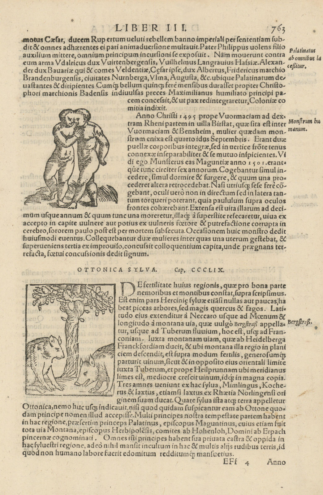 Associate Product Monstrum humanum. Siamese twins born in 1495 near Worms, Hesse. MÜNSTER 1572