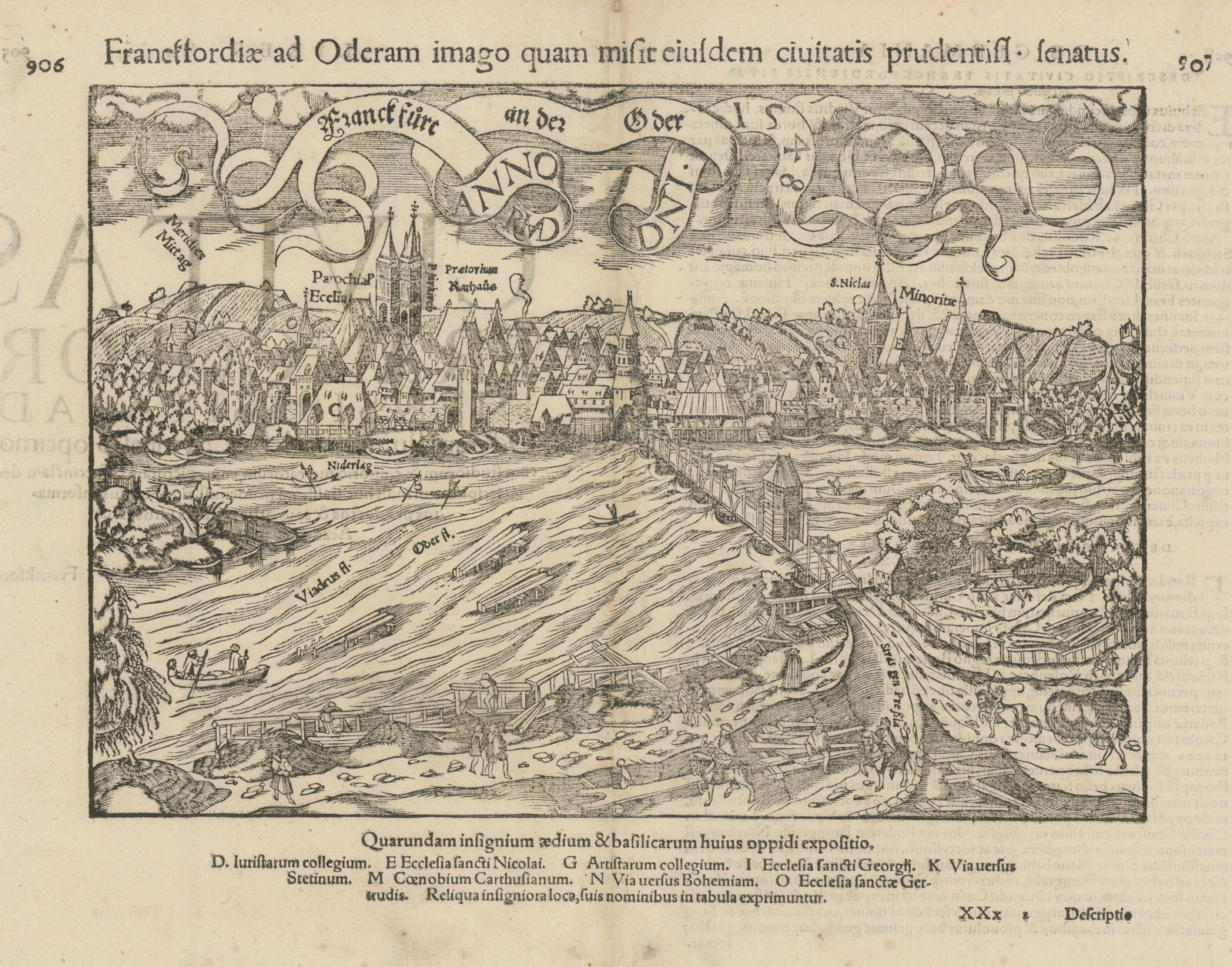 Associate Product Franckfurt (Frankfurt) an der Oder. Franckfordiae ad Oderam. MÜNSTER 1572 map