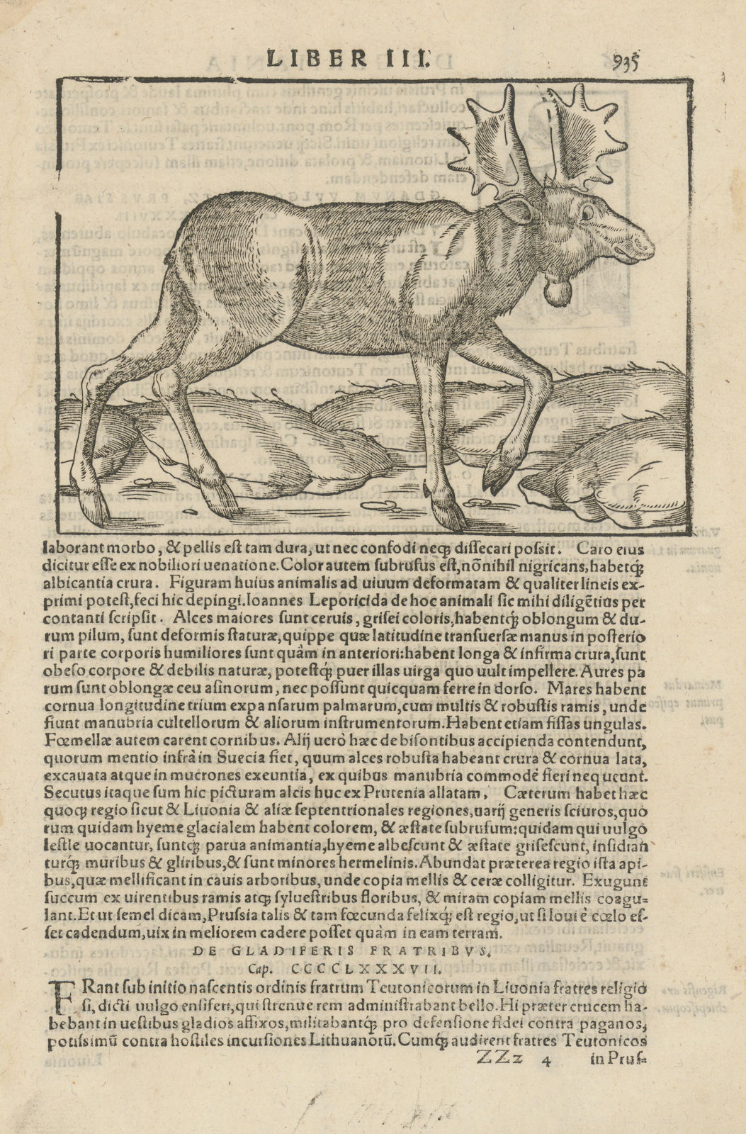 Associate Product A Prussian Moose. SEBASTIAN MÜNSTER 1572 old antique vintage print picture