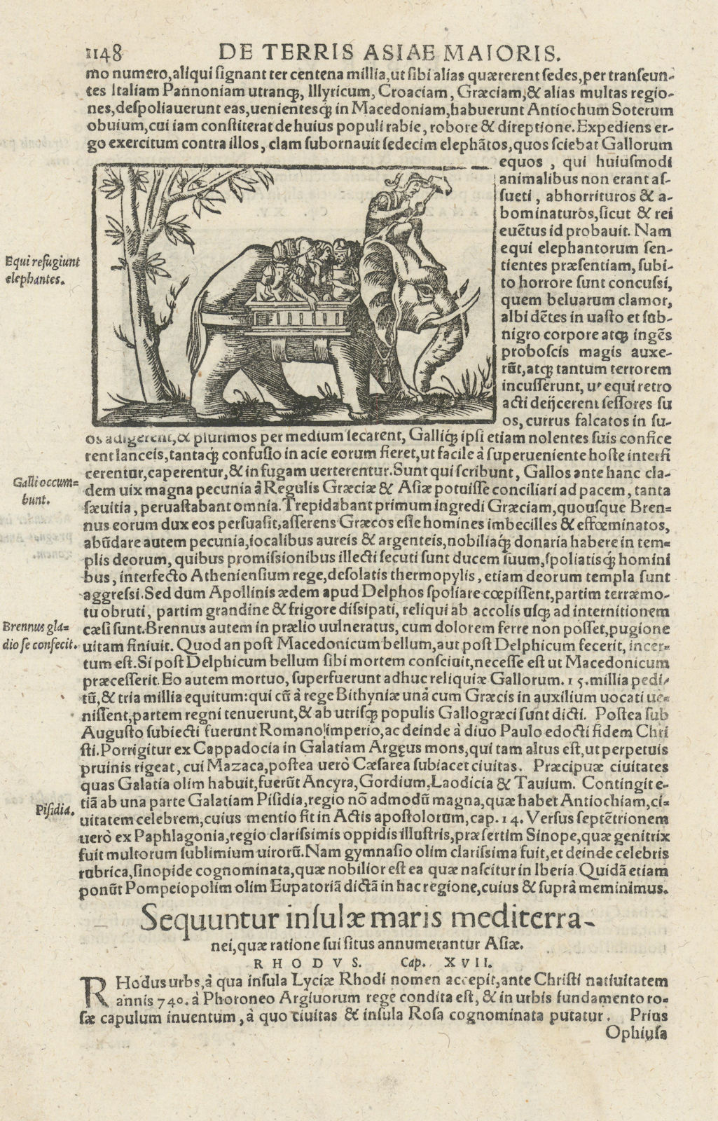 Equi refugiunt elephantes. Galatians. Horses fleeing elephants. MÜNSTER 1572