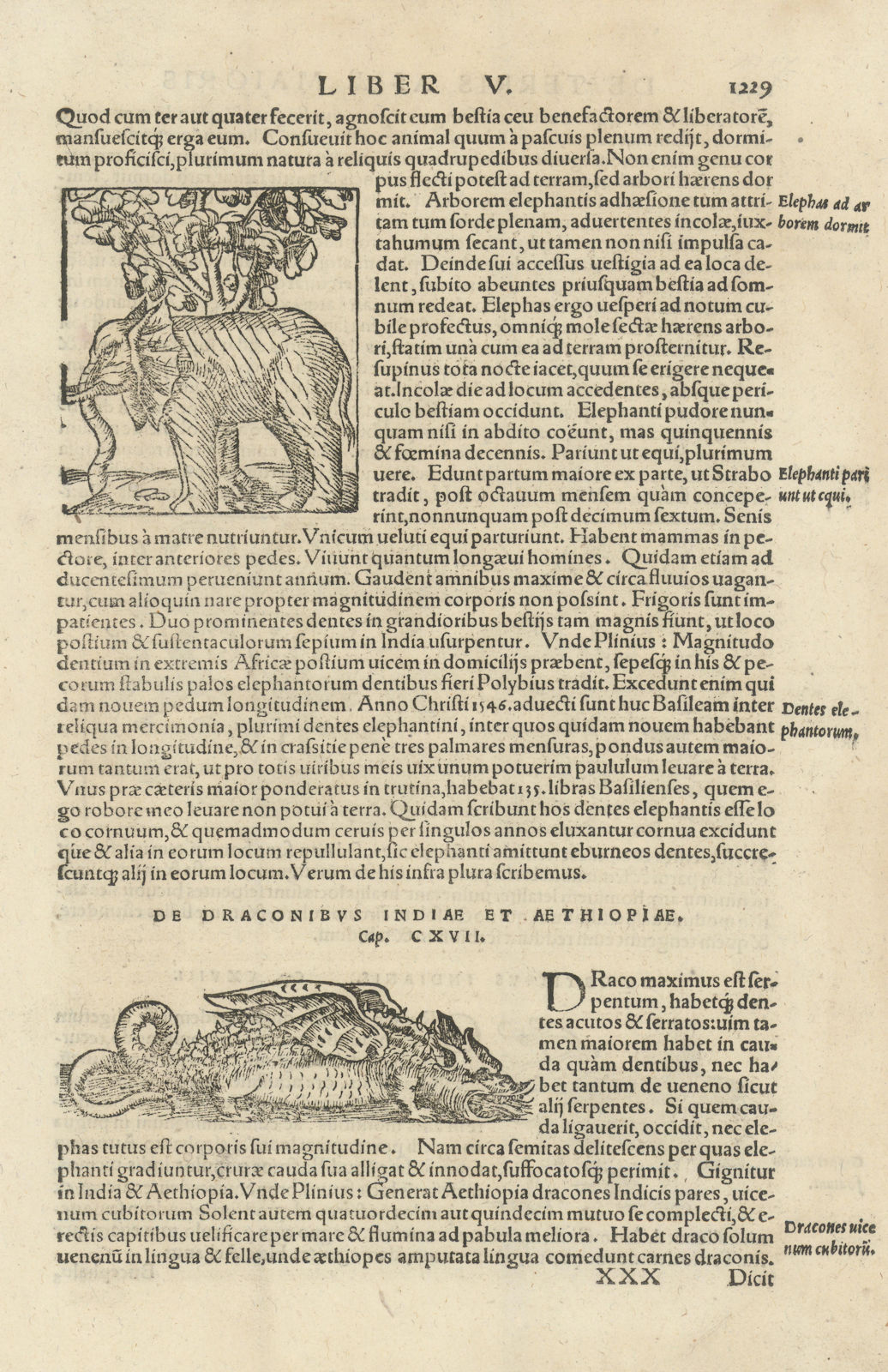 De draconibus Indiae et Aethiopiae. Dragons of India & Ethiopia. MÜNSTER 1572