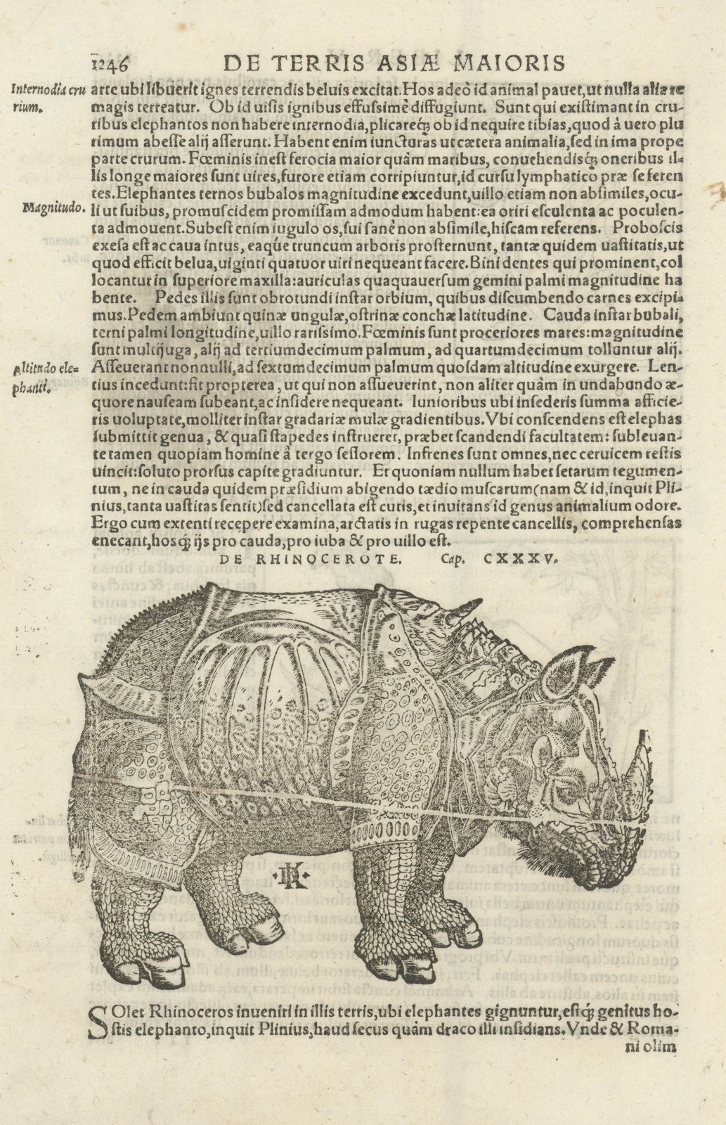 Associate Product De Rhinocerote. Rhinoceros. India. SEBASTIAN MÜNSTER 1572 old antique print