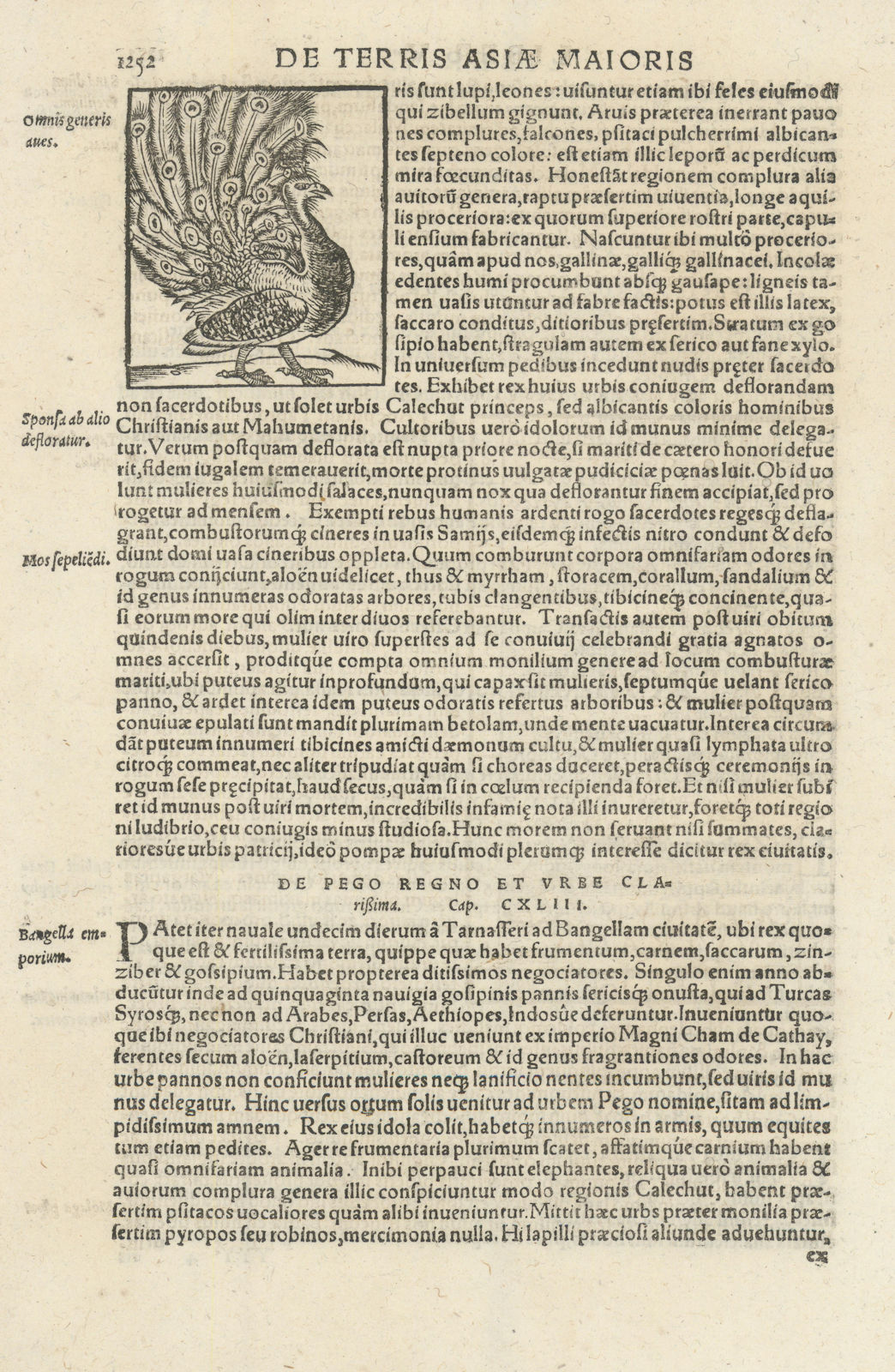 Omnis generis aves. Peacock. India. SEBASTIAN MÜNSTER 1572 old antique print