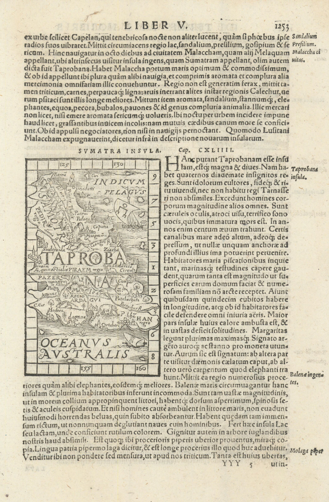 Sumatra lnsula. Taprobana. Sumatra or Sri Lanka. SEBASTIAN MÜNSTER 1572 map