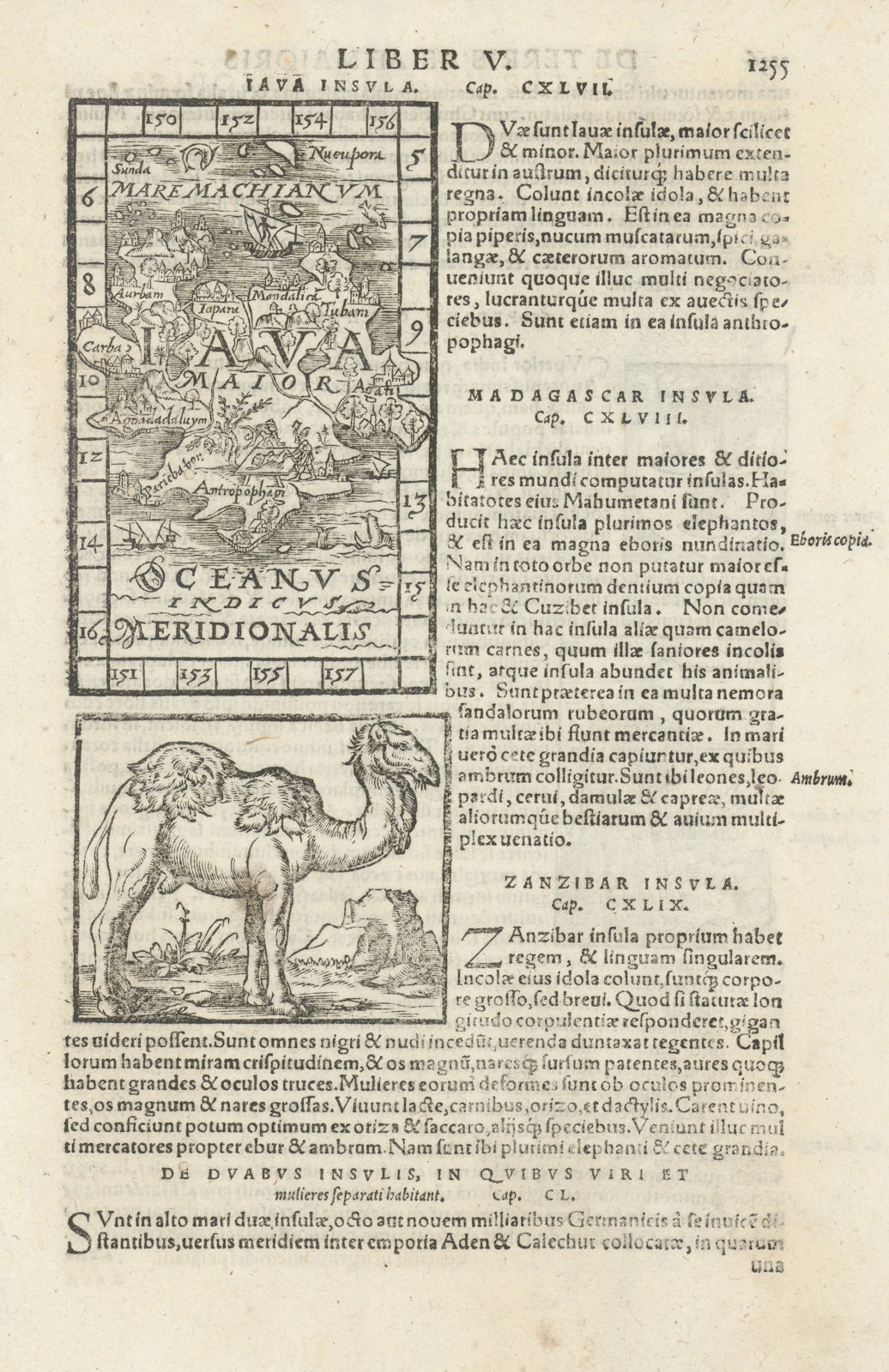 Java Insula. Iava Maior. The Island of Java, Indonesia. MÜNSTER 1572 old map