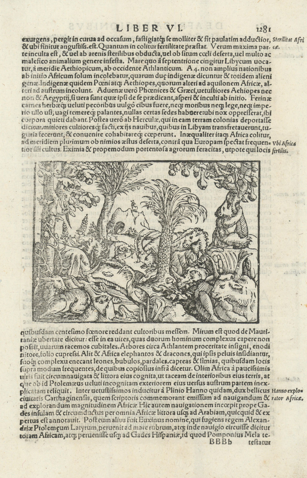 Associate Product Ubi Africa fertilis / fertile. African animals & birds. Unicorn? MÜNSTER 1572