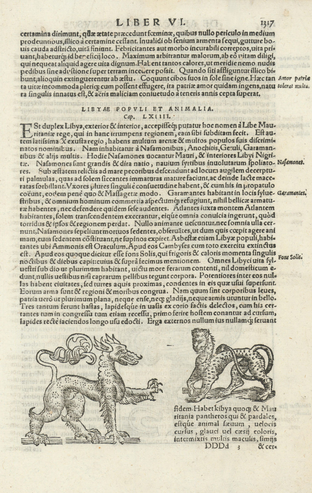 Libyae populi et animalia. Animals of Libya. Lion leopard. MÜNSTER 1572 print