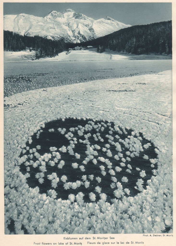 ALPINE SCENERY. Frost flowers on lake of St. Moritz 1935 old vintage print