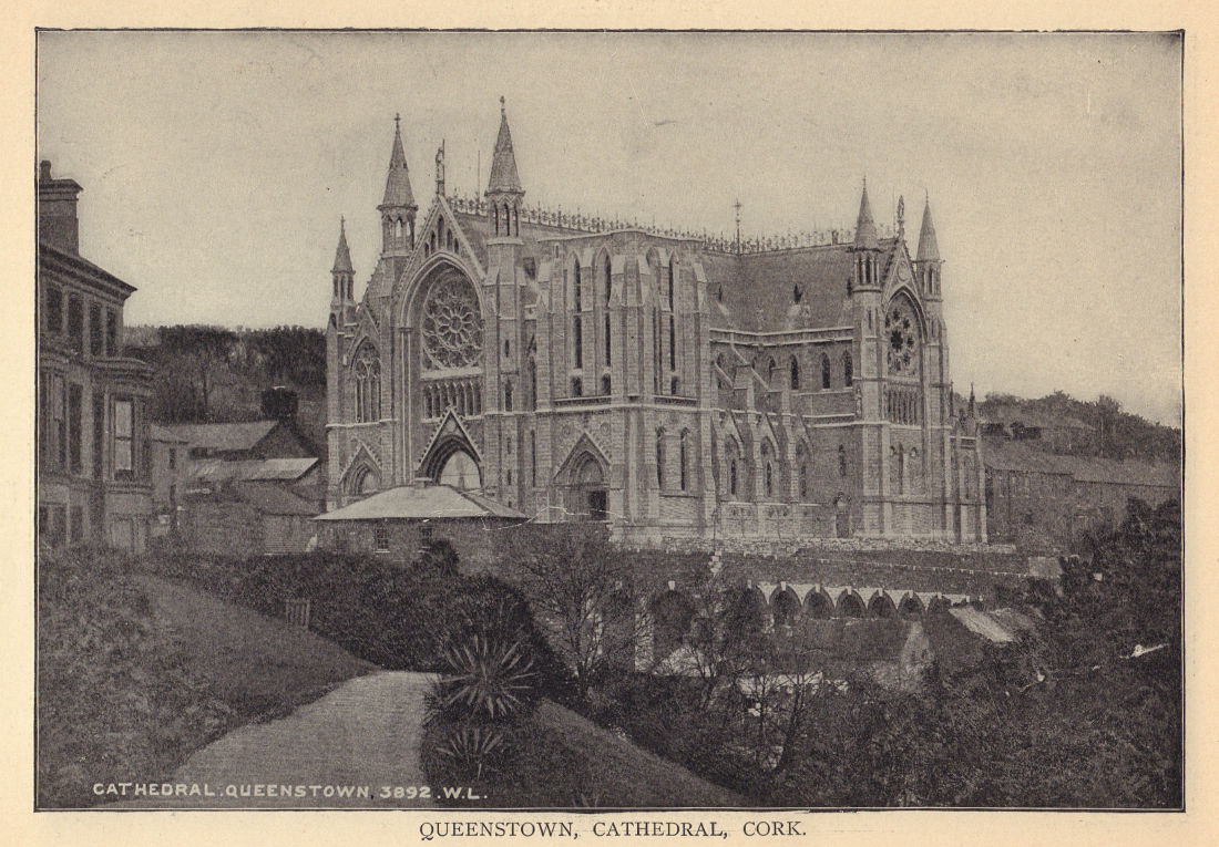 Queenstown, Cathedral, Cork. Ireland 1905 old antique vintage print picture
