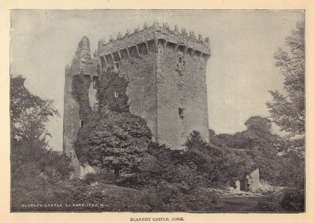 Blarney Castle, Cork. Ireland 1905 old antique vintage print picture