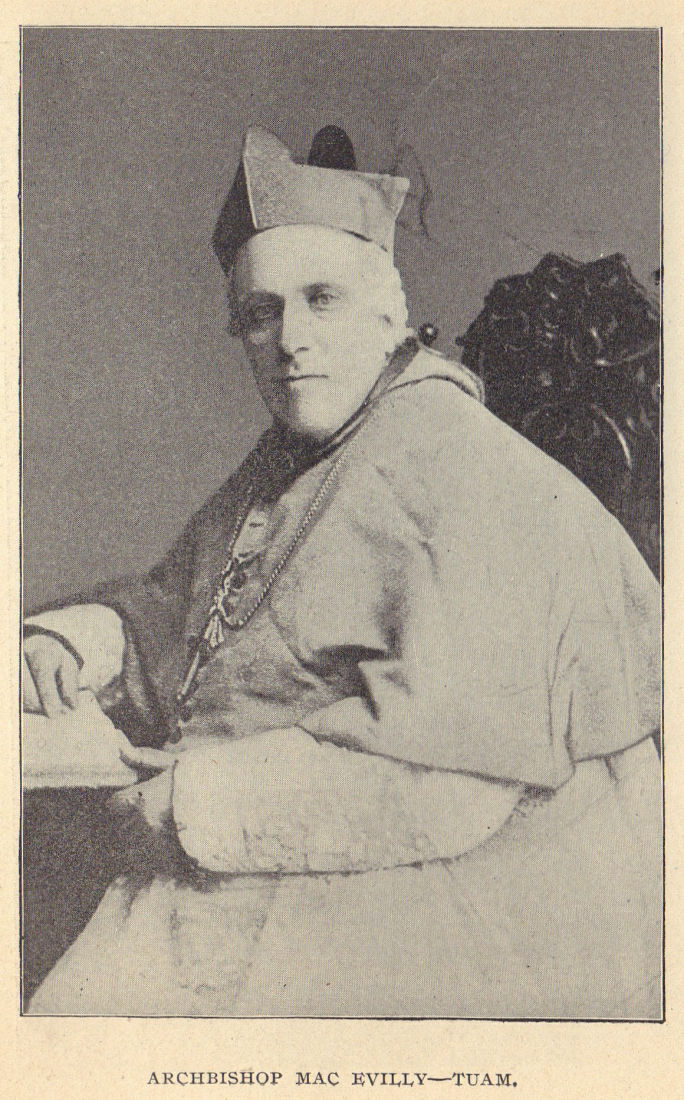 Archbishop MacEvilly - Tuam. Ireland clergy 1905 old antique print picture
