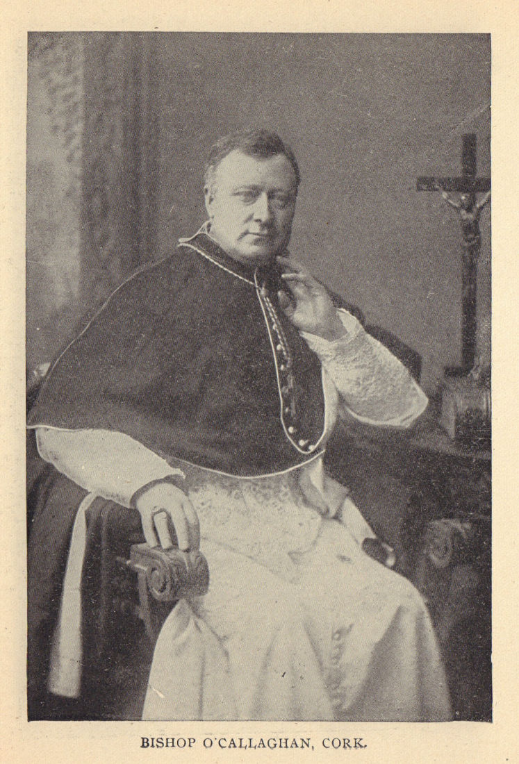 Associate Product Bishop O'Callaghan, Cork. Ireland clergy 1905 old antique print picture
