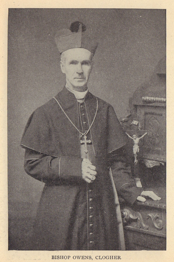 Bishop Owens, Clogher. Ireland clergy 1905 old antique vintage print picture