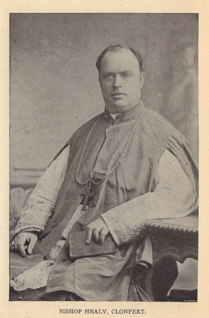 Associate Product Bishop Healy, Clonfert. Ireland clergy 1905 old antique vintage print picture