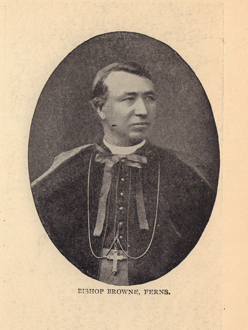 Bishop Browne, Ferns. Ireland clergy 1905 old antique vintage print picture