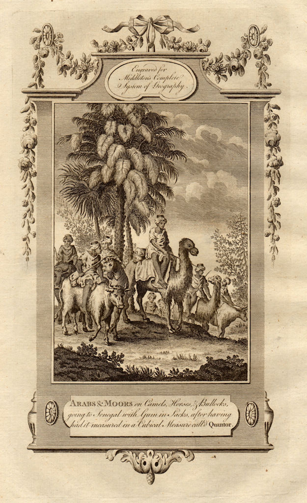 Arabs & Moors carrying gum measured in a Quantor. Senegal. MIDDLETON 1779