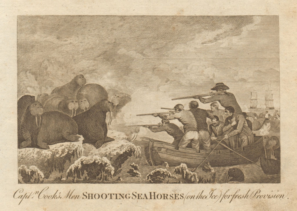 Capt Cook's men shooting sea horses. Isla de los Estados. Argentina. BANKES 1789