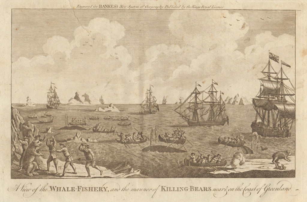 Whale fishery & killing polar bears, coast of Greenland. BANKES 1789 old print